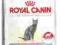 Karma dla kota Royal Canin Sterilised 37 4 kg