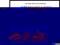 AQUA WELLNES [CD]