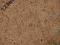 OKLEINA SAMOPRZYLEPNA FOLIA KOREK 45x50 U3