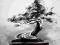 Bonsai japońskie drzewo drzewko obraz plakat A4