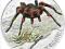 2012 Niue Island - Niebezpieczne pajaki TARANTULA