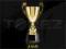 PUCHAR PUCHARY 41 cm TROFEA GRAWER GRATIS 4104E