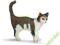KOT STOJĄCY SCHLEICH 13638