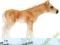 ŹREBIĘ RASY HAFLINGER SCHLEICH 13699