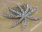 -MARGUT- Stroik -grzebień kwiat gwiazda z cyrkoni
