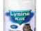 Lysine kot żel - preparat z L-lizyną dla kotów i k