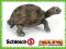 Schleich Żółw gigant młody 14643