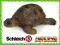 Schleich Żółw 14404