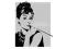 Audrey Hepburn plakat 40 x 50 cm