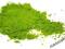 MATCHA ORYGINALNA ZIELONA SPROSZKOWANA HERBATA 50g