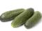 Ogórki gruntowe ekologiczne od 6 do 9 cm - wapń