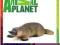 ANIMAL PLANET FIGURKA DZIOBAK NIE SCHLEICH