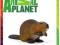 ANIMAL PLANET FIGURKA BÓBR NIE SCHLEICH