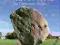 PREHISTORIC WILTSHIRE: AN ILLUSTRATED GUIDE Clarke