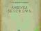 AMERYKA ŚRODKOWA TADEUSZ DYBCZYŃSKI Wielka...