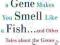 WHEN A GENE MAKES YOU SMELL LIKE A FISH Lisa Chiu