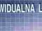 Indywidualna lista płac