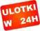 ULOTKI ulotka DL 100 szt. KOLOR dwustronne w 24h