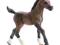 SCHLEICH figurka koń konik Kuc źrebak arabski
