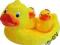 Zabawka MYDELNICZKA- KACZKA 0m+