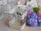 Piękność klatka metal ptaszek shabby chic kwietnik