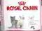 ROYAL CANIN FELINE KITTEN 36 - 10KG