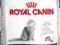 ROYAL CANIN FELINE SENSIBLE 33 - 10KG