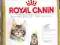 ROYAL CANIN FELINE KITTEN MAINE COON 36 - 2x10KG