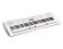 Casio LK-247 Keyboard - PROMOCJA !!!!!!!