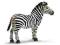 SCHLEICH 14391 ZEBRA KLACZ