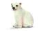 SCHLEICH 14660 Niedźwiedź polarny młody