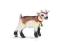SCHLEICH 13720 Młoda koza domowa new 2013