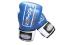 Rękawice bokserskie PRO FIGHT MASTERS __10 oz
