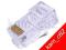 Wtyk modularny 8P8C RJ45 UTP drut - 100 szt.