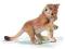 SCHLEICH 14377 LWIĄTKO BAWIĄCE SIĘ 2008