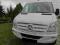 Mercedes Sprinter 4x4 313 CDI W906 MAX