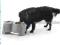 SAVIC Ergo Feeder - miski na stojaku 2 x 0,85l