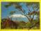 KILIMANDŻARO, Kenia #x8802#  AFRYKA