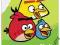 Zeszyt w kratkę 60 kartek Angry Birds - HIT #