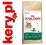 ROYAL CANIN MAINE COON ADULT 4KG [SUPER PROMOCJA]