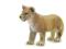 Figurka Lwiątko stojące -Trefl