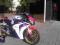 Honda cbr 1000rr Fireblade HRC