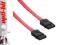 4World Kabel HDD SATA 2 SATA 20cm czerwony