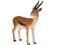 Figurka F7122 Samiec gazeli Thomsona Animal Planet