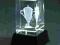 Elegancka statuetka puchar 3D + podst. świecąca