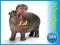 SCHLEICH Hipopotam new 2013 OKAZJA 24H