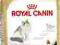 ROYAL CANIN RAGDOLL 400+400g PROMOCJA