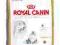 ROYAL CANIN PERSIAN 4kg + KURIER GRATIS