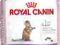 ROYAL CANIN KITTEN STERILISED 400+400g PROMOCJA