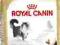 ROYAL CANIN NORWEGIAN KOT NORWESKI ADULT 400+400g